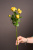 Букет 13 кустовых роз Желтые Арт 989906Дв-Желт Букет 13 кустовых роз Желтые Арт 989906Дв-Желт